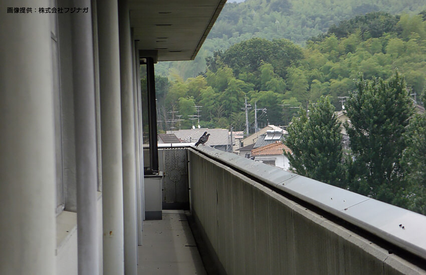 京都を拠点にどこへでも！鳥害対策なら i-style（アイスタイル）